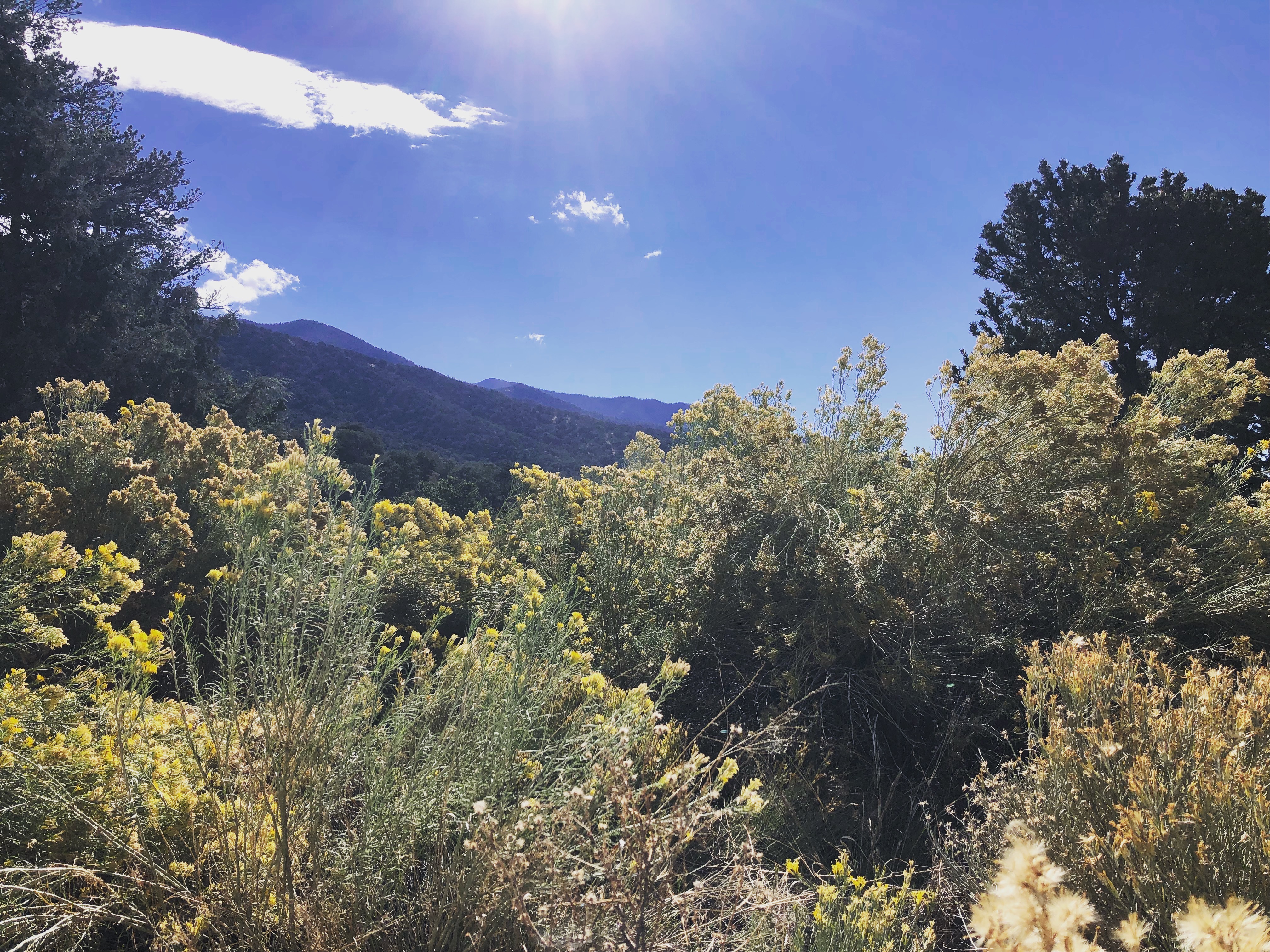 Sangre de Cristo Mountains